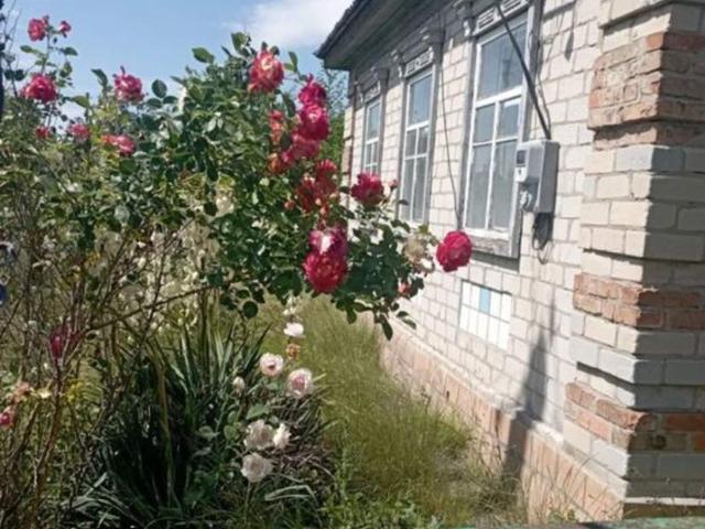 Дом продажа в Кривушах, Полтавской области