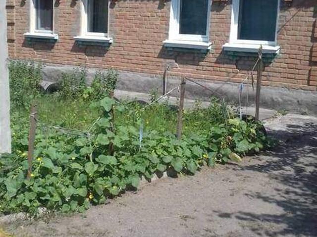 Дом продажа в Кропивницком