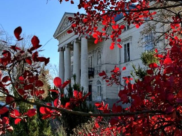 Dom na sprzedaż w Opole Lubelskie, Lubelskie