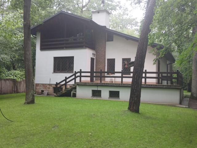 Dom do wynajęcia w Podkowa Leśna, Mazowieckie
