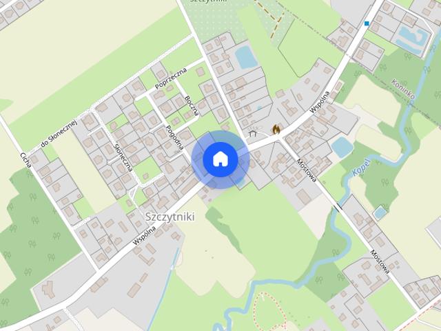 Dom do wynajęcia w Szczytniki, Wielkopolskie