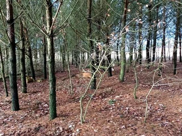 Dom na sprzedaż w Świekatowo, Kujawsko-pomorskie