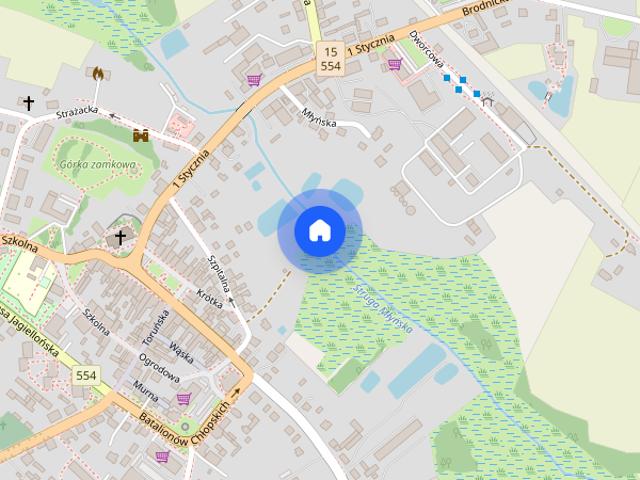 Dom do wynajęcia w Kowalewo Pomorskie, Kujawsko-pomorskie