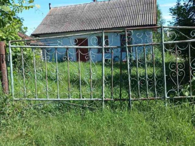 Дом продажа в Лесовых Гриновцах