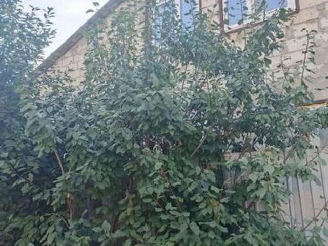 Дом продажа в Самара, Самарская область