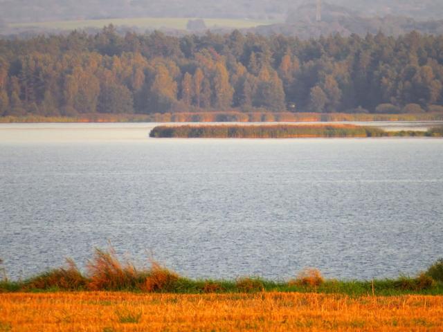 Dom na sprzedaż w Pszczyna, Śląskie