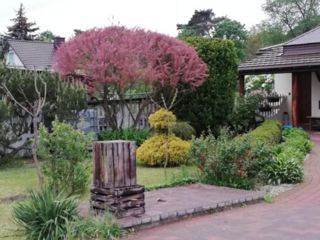 Dom na sprzedaż w Otwock, Mazowieckie