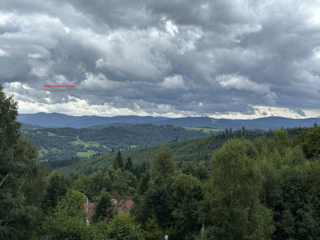 Dom na sprzedaż w Kamesznica, Śląskie