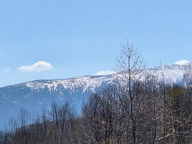 Dom na sprzedaż w Zawoja, Małopolskie