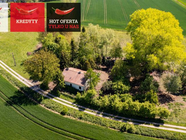 Dom na sprzedaż w Stegna