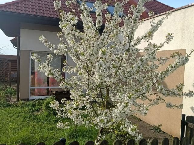 Dom na sprzedaż w Pępowo, Pomorskie