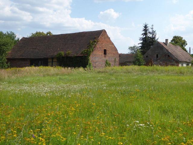 Dom na sprzedaż w Brzeg Dolny, Dolnośląskie