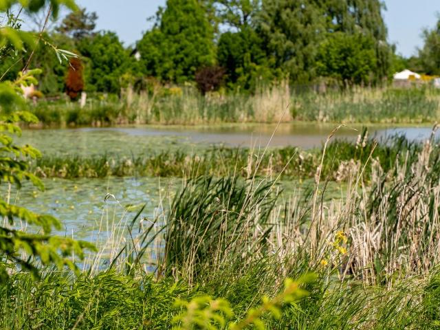Dom na sprzedaż w Elbląg, Warmińsko-mazurskie