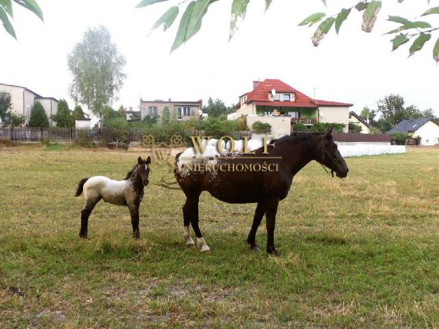 Dom na sprzedaż w Kalety, Śląskie