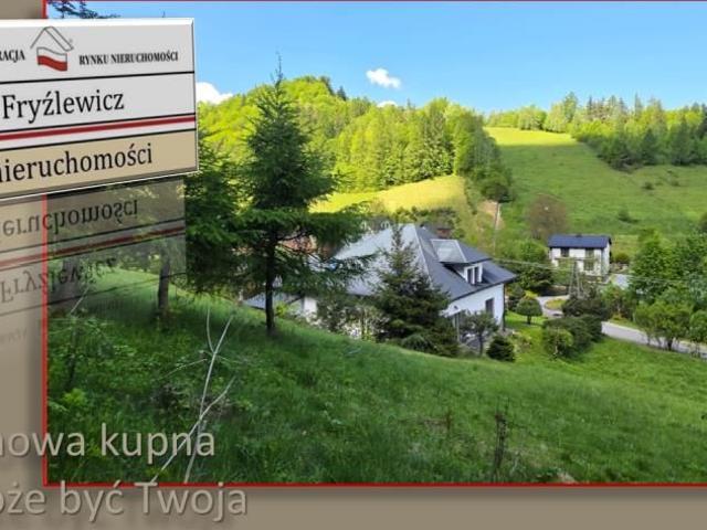 Dom na sprzedaż w Za Wodą, Łabowa
