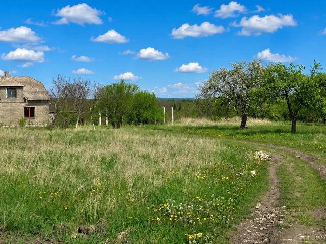 Dom na sprzedaż w Dąbrowa Górnicza, Śląskie
