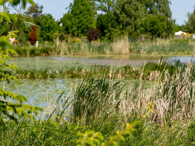 Dom na sprzedaż w Elbląg, Warmińsko-mazurskie