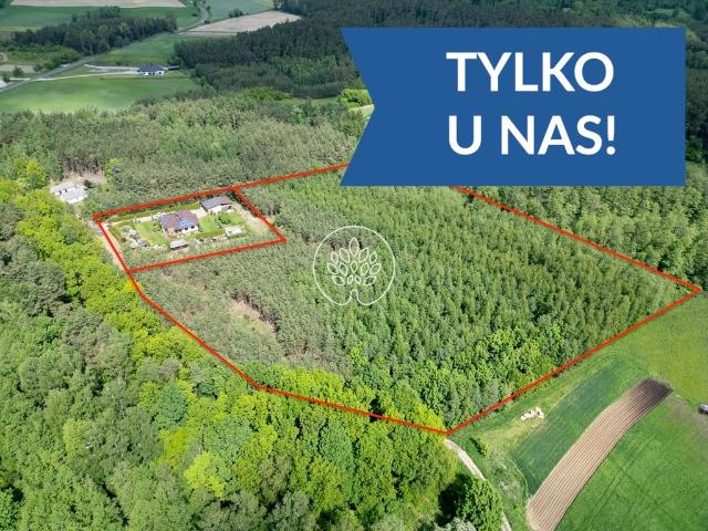 Dom na sprzedaż w Poznań, Wielkopolskie