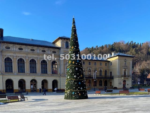 Dom na sprzedaż w Krynica-zdrój, Małopolskie