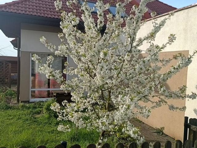 Dom na sprzedaż w Pępowo, Pomorskie