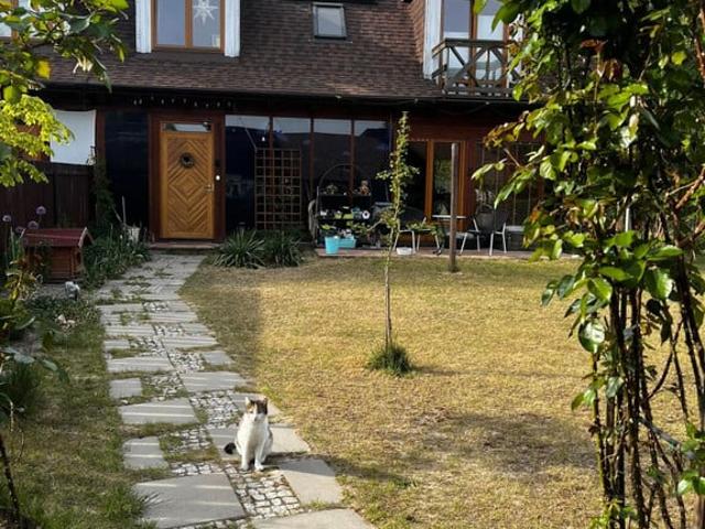 Dom do wynajęcia w Prażmów