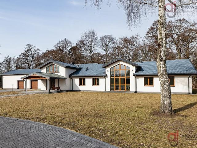 Dom do wynajęcia w Wróblew, Łódzkie