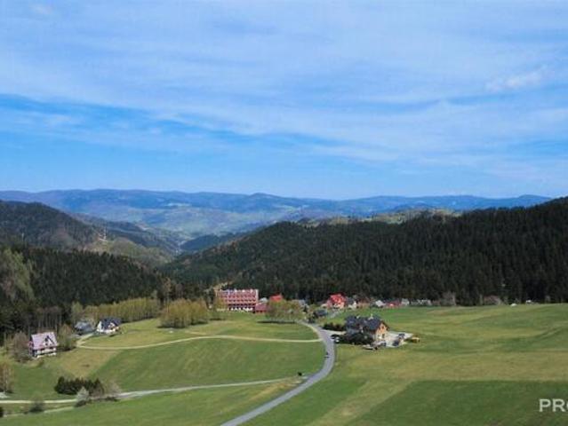 Dom na sprzedaż w Piwniczna-zdrój, Małopolskie