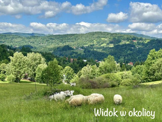 Dom na sprzedaż w Zawoja, Małopolskie