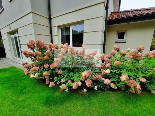 Dom do wynajęcia w Warszawa, Mazowieckie