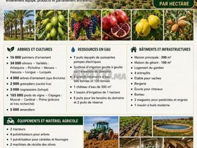 Propriété vente à Sidi Allal El Bahraoui