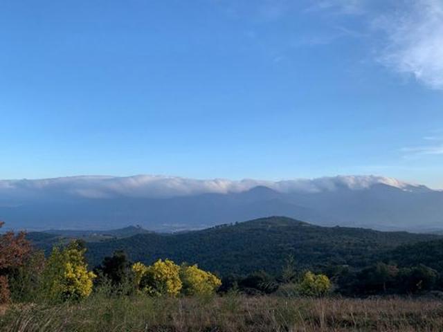 Terrain vente à Céret, Oms