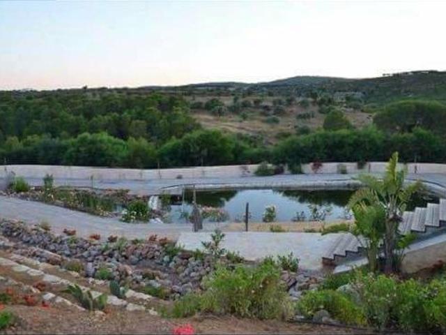 Terrain vente à Bir Mcherga