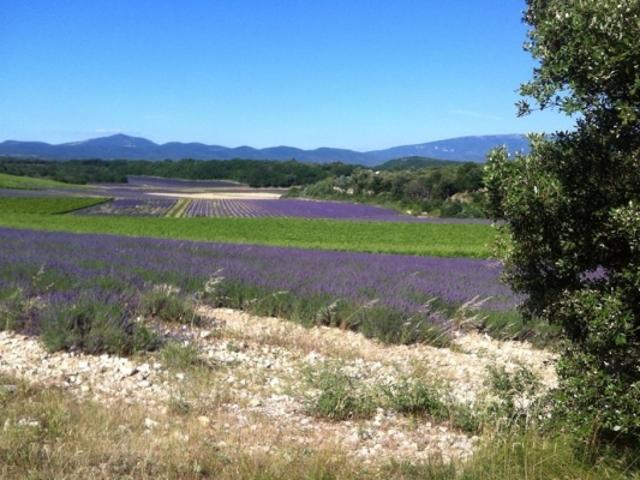 Maison vente à Grignan, Drôme