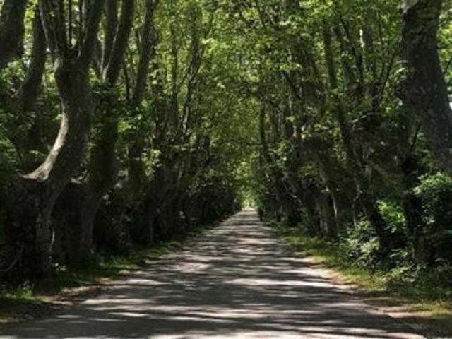 Ferme vente à Carpentras, Châteauneuf-du-pape