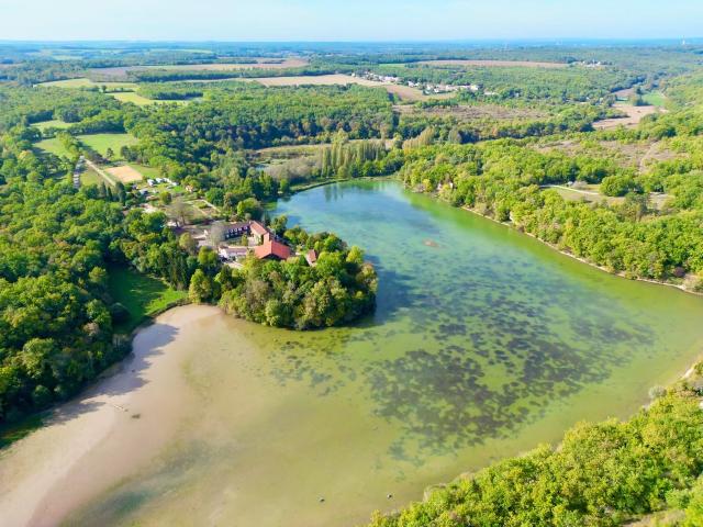 Château vente à Cognac