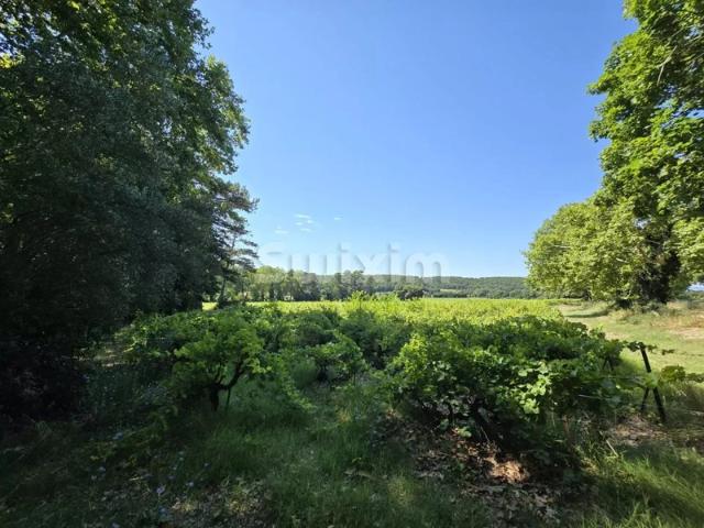 Maison vente à France métropolitaine, Saint-restitut