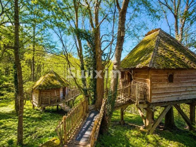 Maison vente à Colmar-Ribeauvillé, Thannenkirch