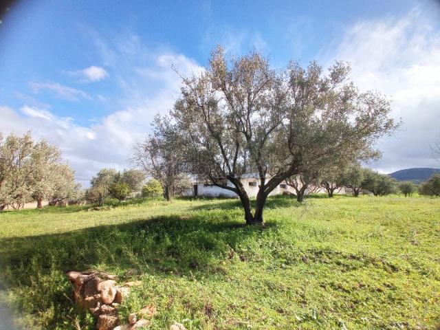 Ferme vente à Bhalil