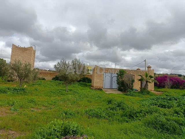 Propriété vente à Essaouira, L'Oriental