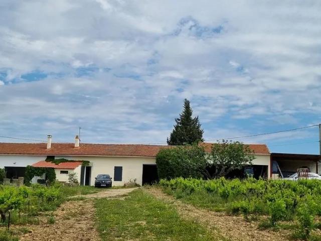 Local Commercial vente à Jaurès - République, Avignon