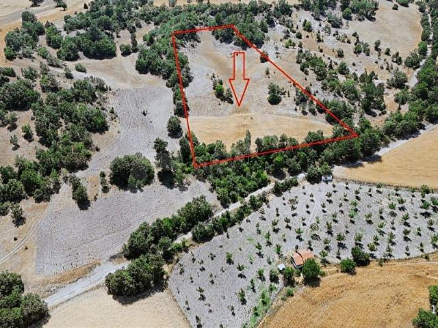 Domaniç, Kütahya içerisinde satılık mülk