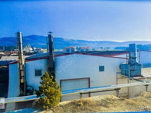 Domaniç, Kütahya içerisinde satılık Fabrika