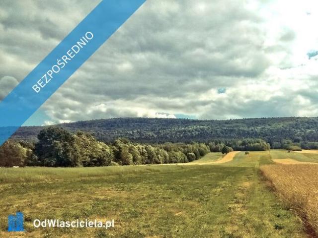 Dom na sprzedaż w Nowa Słupia, Świętokrzyskie