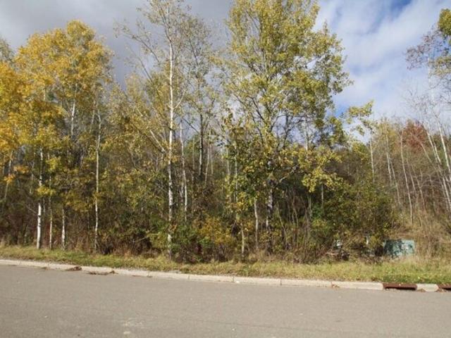 Land for sale in Endicott
