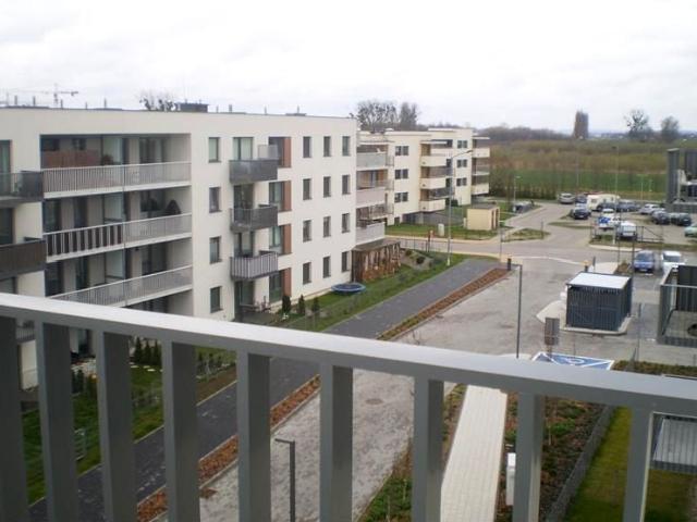 Mieszkanie do wynajęcia w Pruszcz Gdański, Pomorskie
