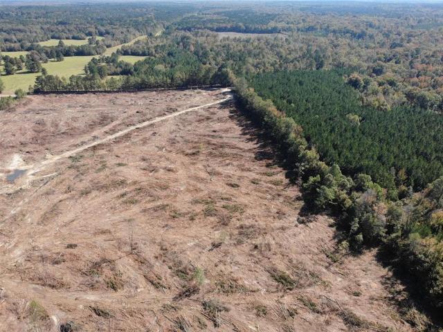 Land for sale in Bienville, Louisiana