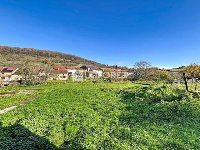 Maison vente à Neufchâteau, Domjulien