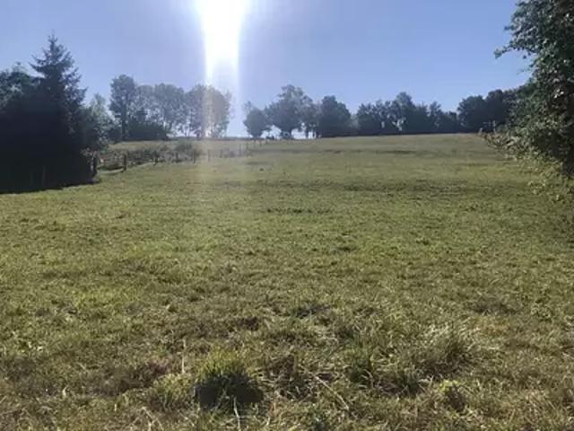 Terrain vente à Neufchâteau, Dommartin-aux-bois