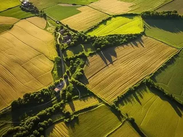 Terrain vente à La Roche-sur-Yon, Dompierre-sur-yon