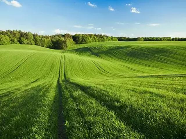 Terrain vente à La Roche-sur-Yon, Dompierre-sur-yon